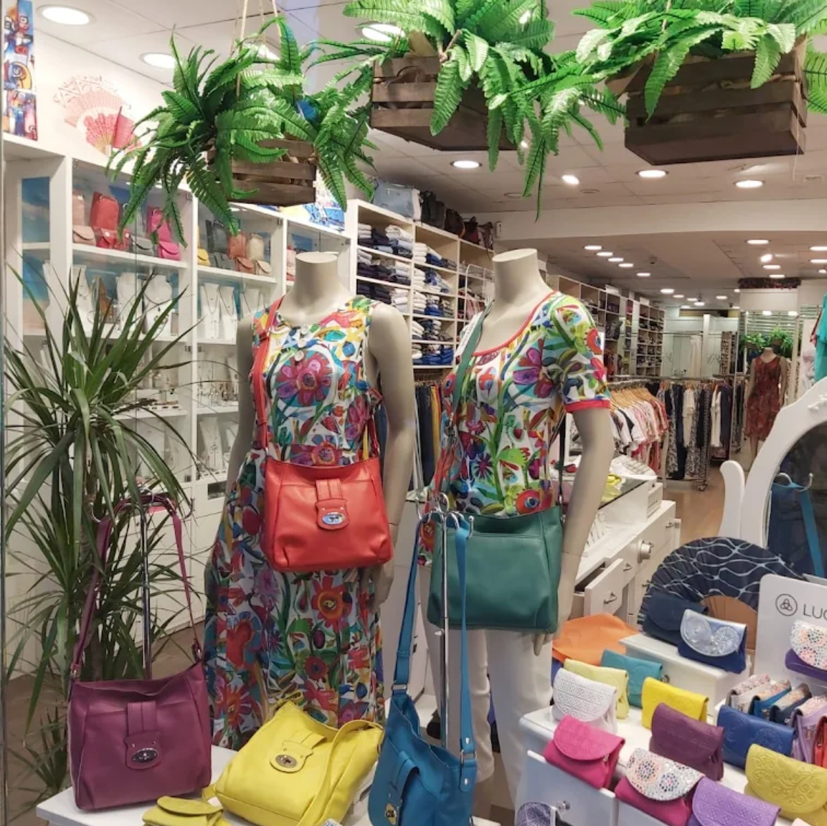 Complements home i dona